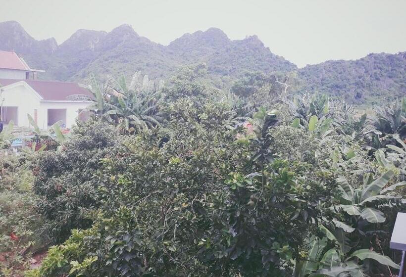 اتاق استاندارد با چشمانداز کوهستان, Loren Homestay