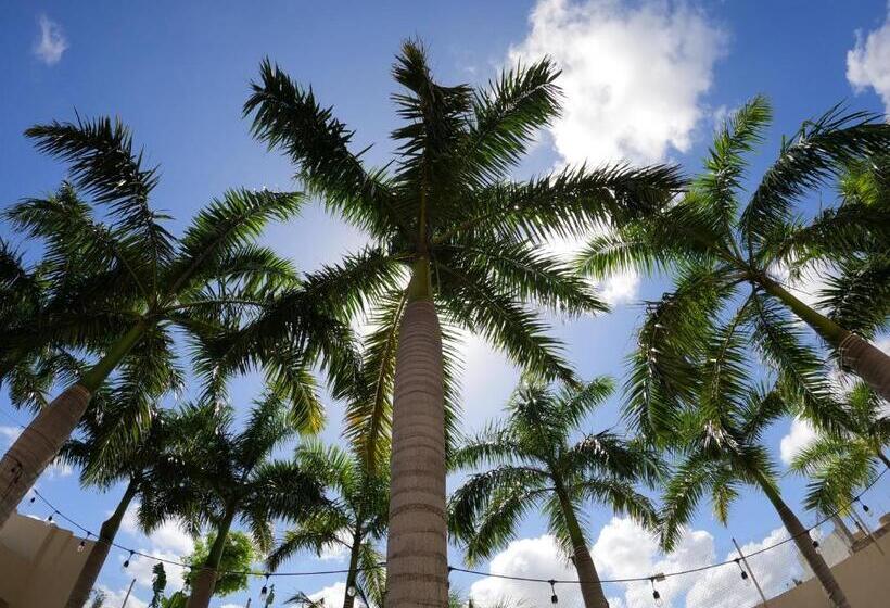 디럭스 룸, Azcapri Villa Boutique & Spa