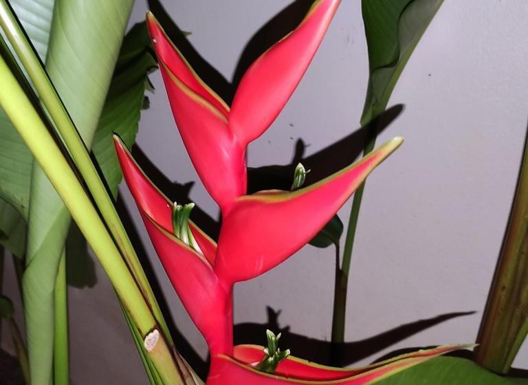 빌라 침실 1개, Azcapri Villa Boutique & Spa