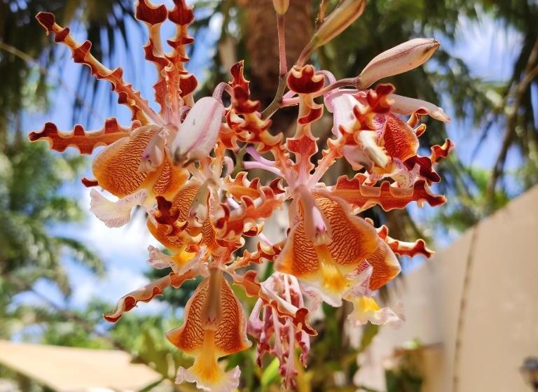 빌라 침실 1개, Azcapri Villa Boutique & Spa