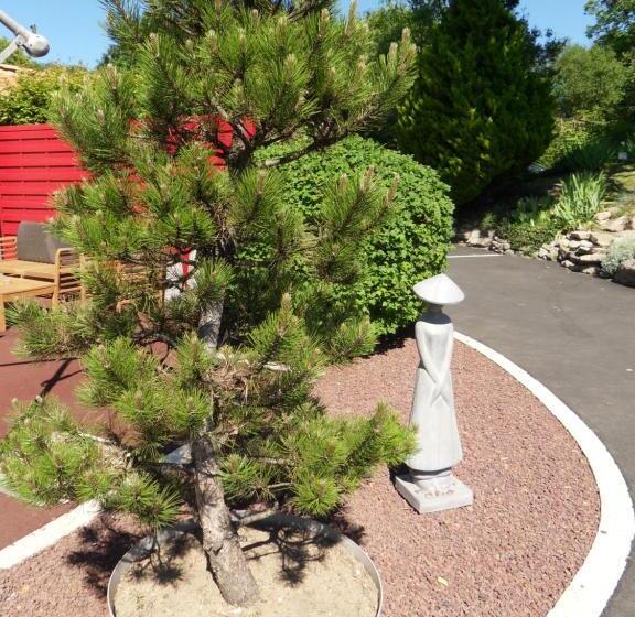 Номер Стандарт, Au Petit Bignon