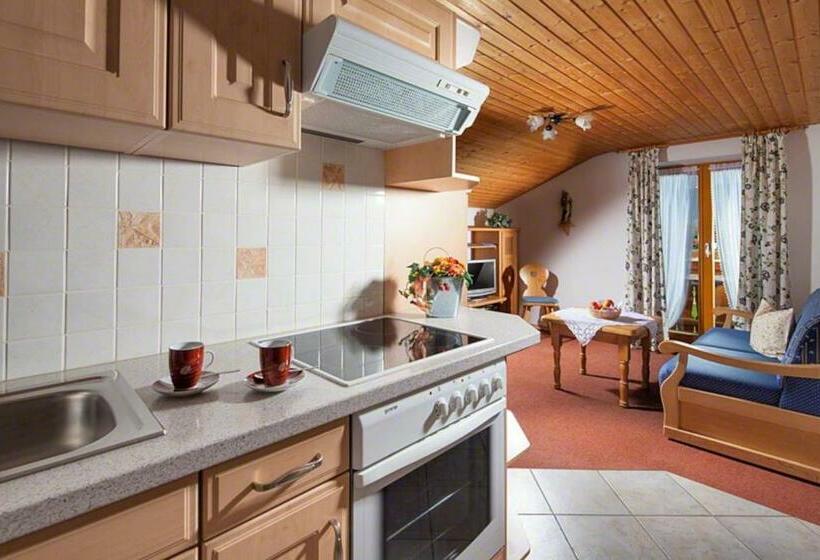 آپارتمان 1 خوابه با چشم‌انداز, Ferienwohnung Triembachhof