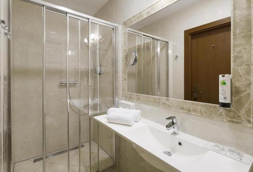 Номер Стандарт Индивидуальный, Bukowy Park Hotel Medical Spa