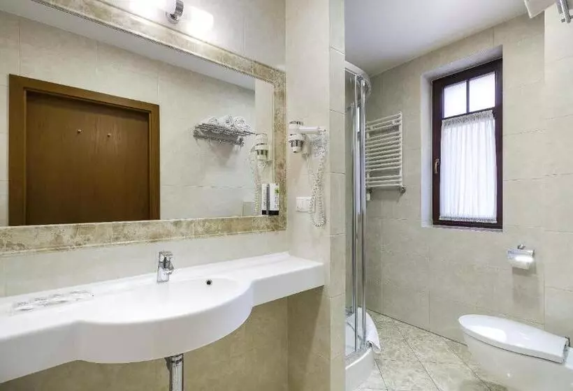 اتاق استاندارد, Bukowy Park Hotel Medical Spa