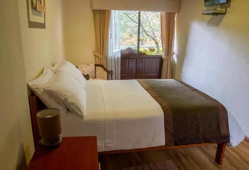 اتاق سوپریور یک تخته, Casa Lloret