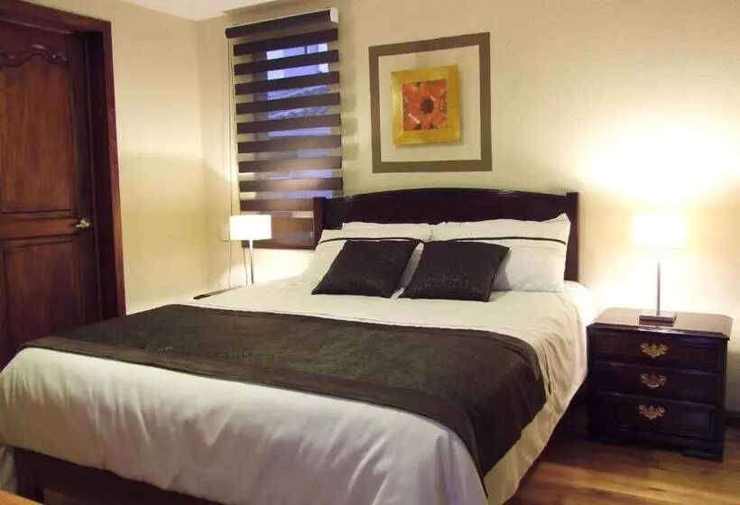 اتاق سوپریور یک تخته, Casa Lloret