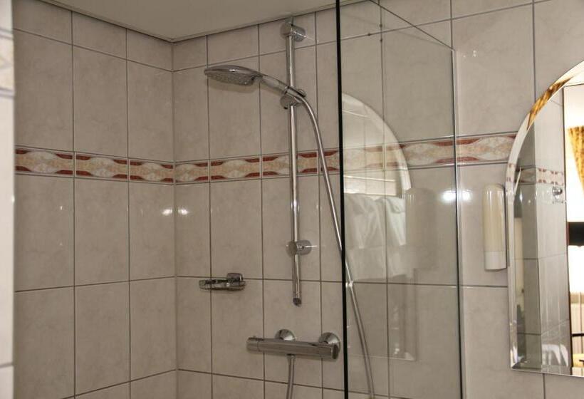 חדר סטנדרט, De Roode Leeuw Terborg