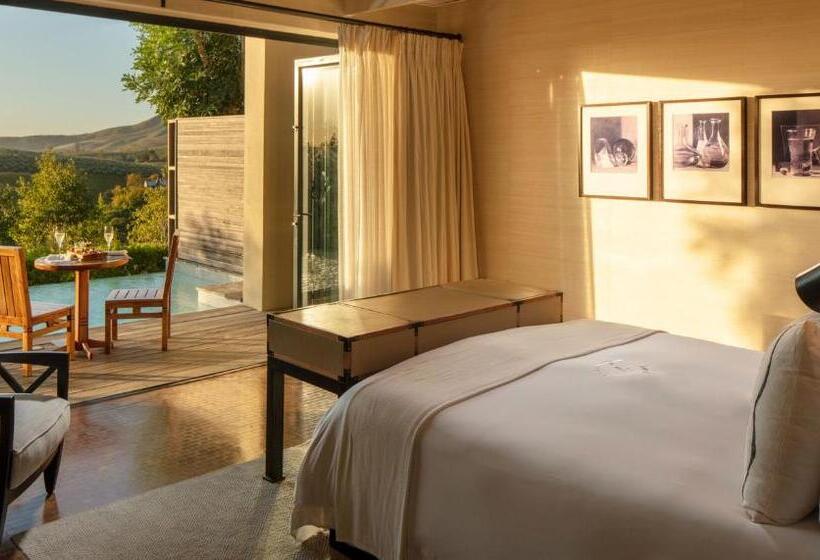 ویلای لوکس 1 خوابه, Delaire Graff Lodges And Spa