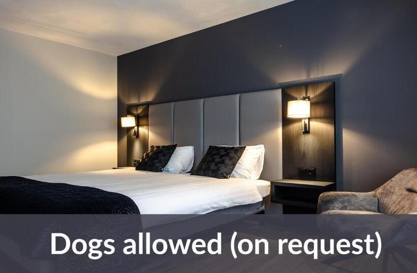 اتاق راحتی, Maashof