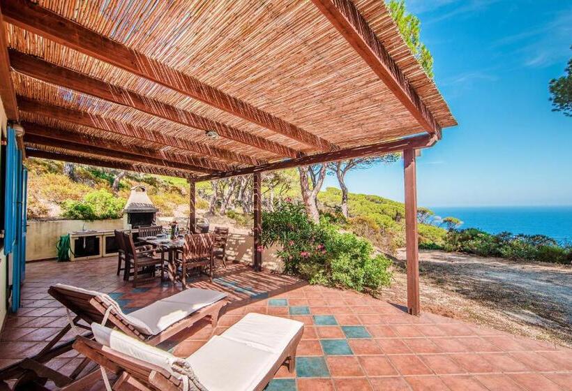 带1个卧室和海景的别墅, Tenuta Delle Ripalte