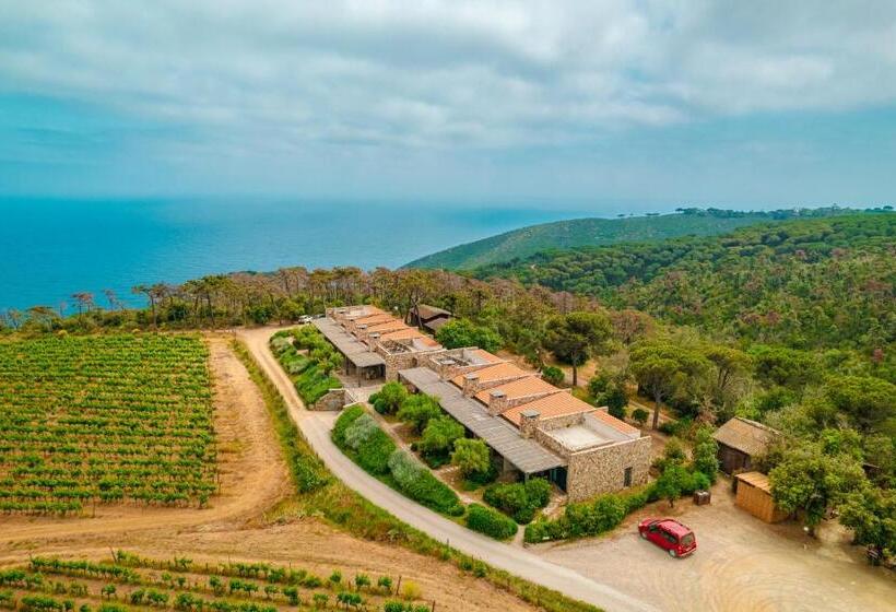 低层单卧公寓, Tenuta Delle Ripalte