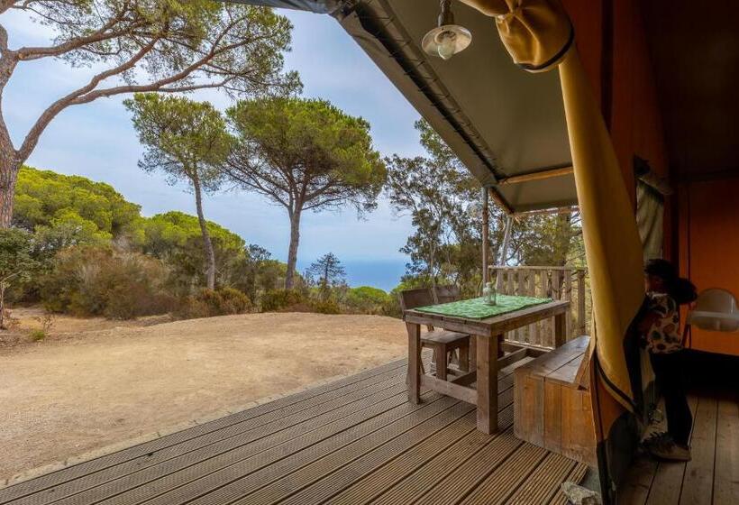 Standard Tent, Tenuta Delle Ripalte