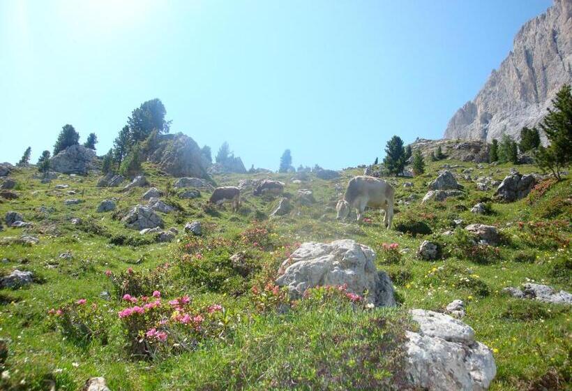 标准三人间, Villa Adria B&b