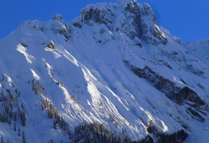 标准单人间, Villa Adria B&b