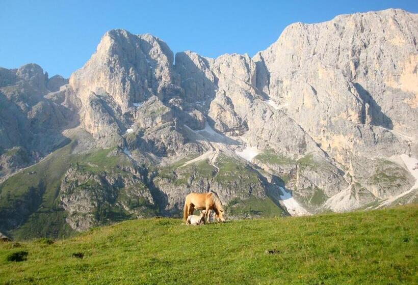 标准单人间, Villa Adria B&b