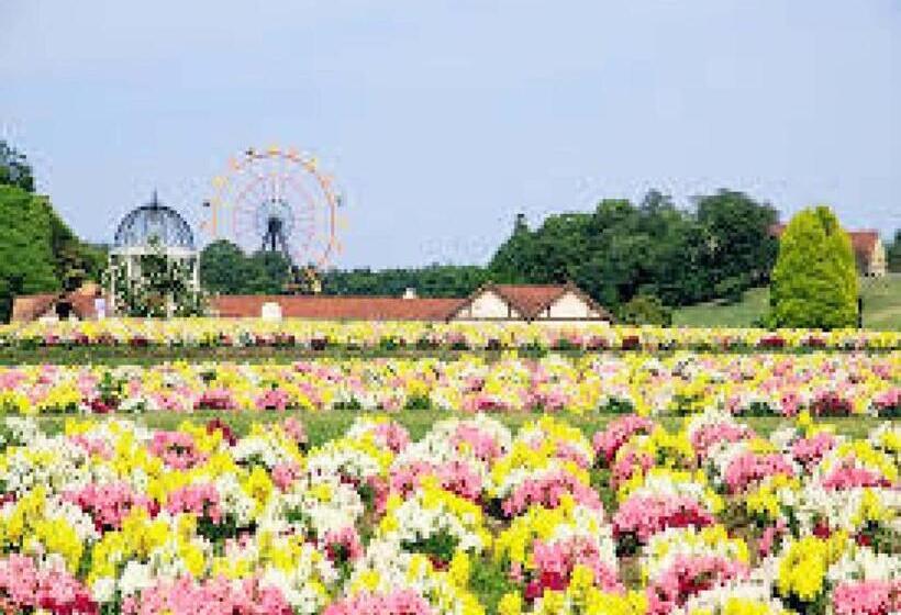 إستوديو قياسى, Royal Garden Kisarazu / Vacation Stay 72210