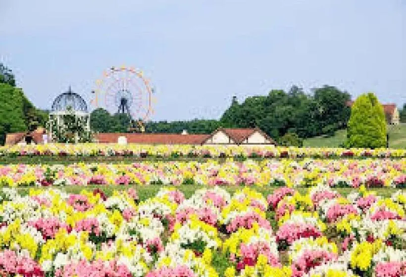 スタンダードスタジオ, Royal Garden Kisarazu / Vacation Stay 72210
