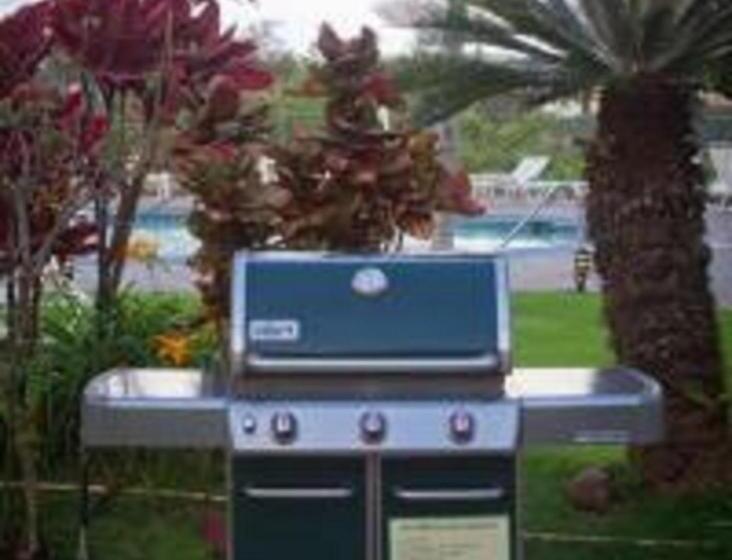 شقة غرفتين, Banyan Harbor