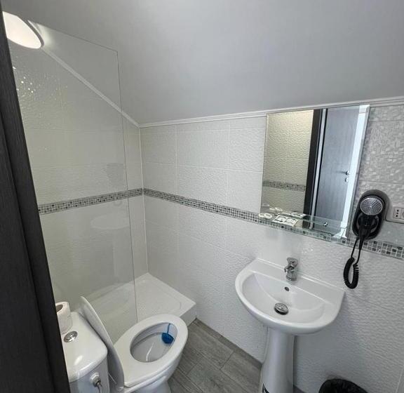 基本间, Muntele Mic