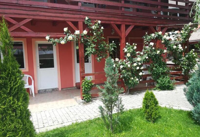 استودیو استاندارد با بالکن, Ati&hanna