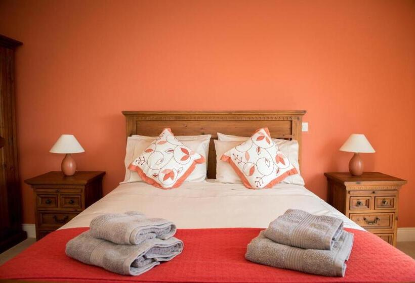 اتاق سوپریور با تخت بزرگ, Kayden House