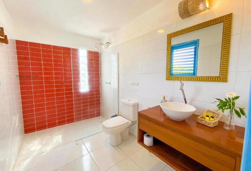 חדר סטנדרט עם מיטת קינג, Pousada Villa Tatuamunha