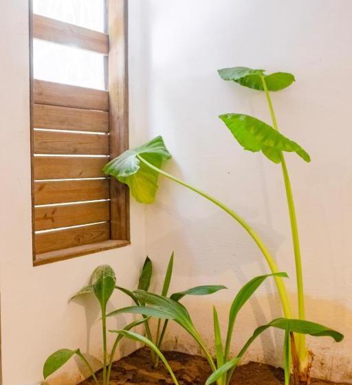 סוויטה משפחתית, Pousada Villa Tatuamunha