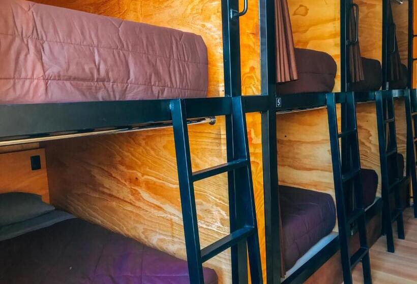 تختخواب در اتاق مشترک, Wild Rover Huacachina