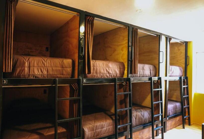 تختخواب در اتاق مشترک, Wild Rover Huacachina