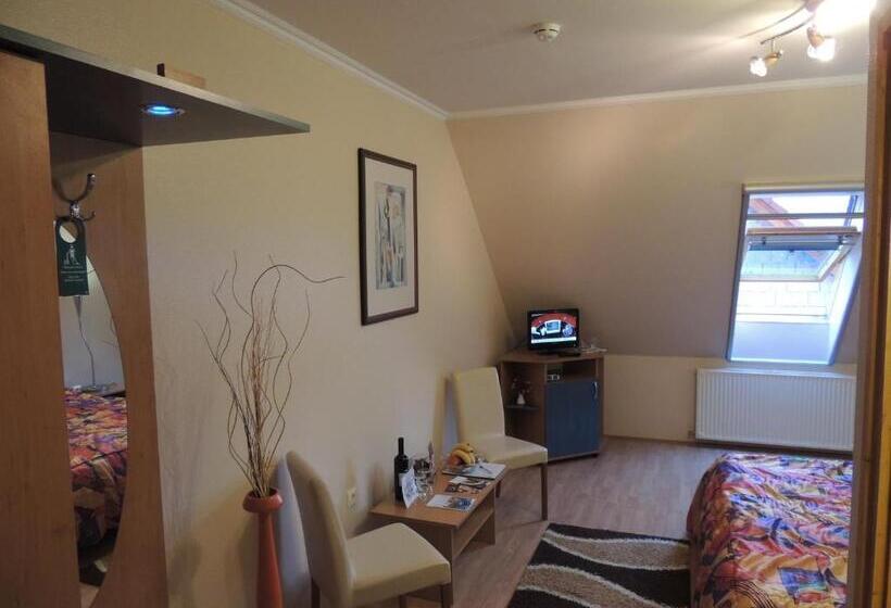 اتاق استاندارد, Bajor Panzió Bük Bükfürdő, Adults Friendly 12 Plus