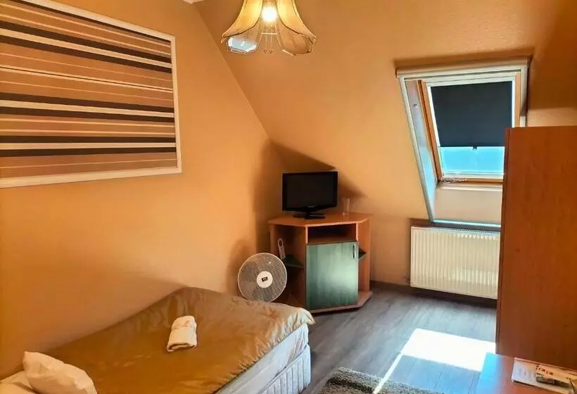 スタンダードシングルルーム, Bajor Panzió Bük Bükfürdő, Adults Friendly 12 Plus