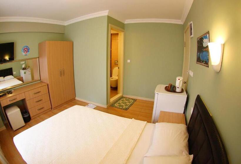 غرفة قياسية, Dost