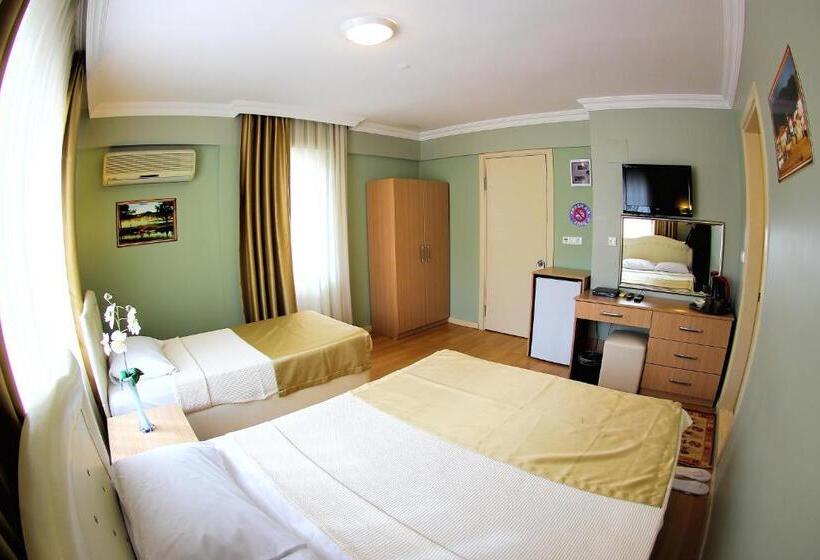 غرفة قياسية, Dost