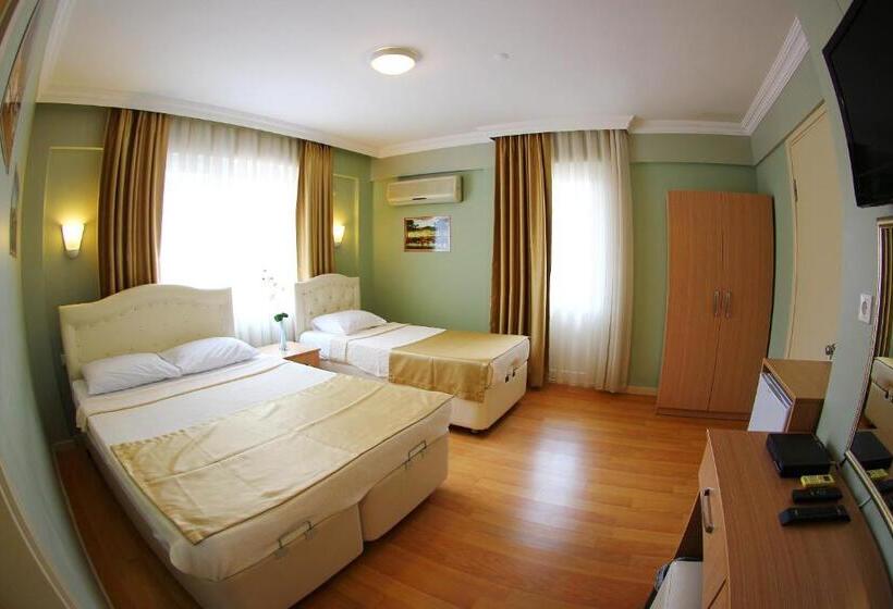 غرفة قياسية ثلاثية, Dost