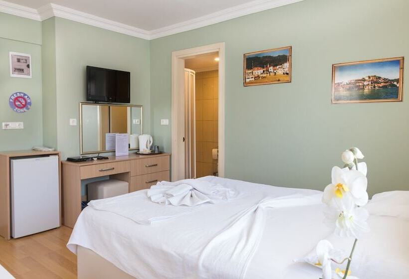 غرفة قياسية, Dost