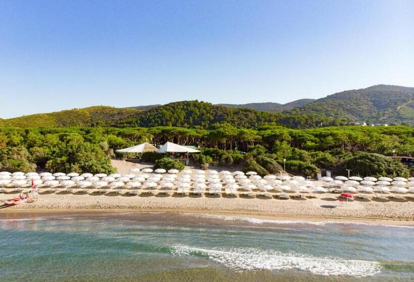 اتاق راحتی, Riva Del Sole Resort & Spa