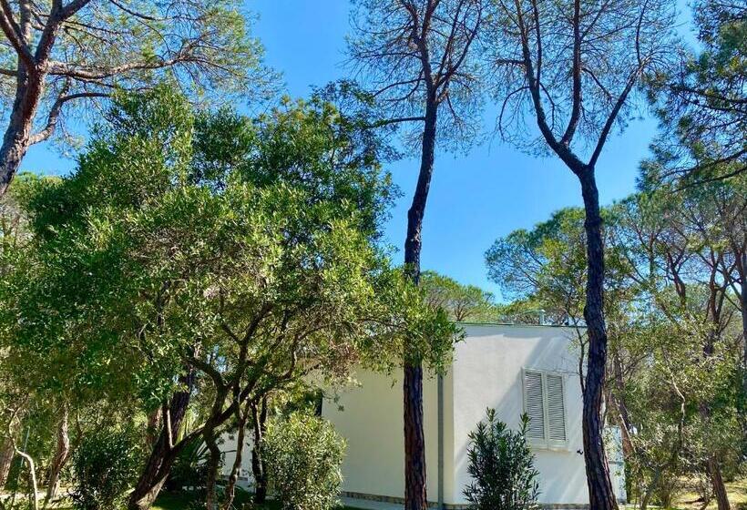 ویلای لوکس 1 خوابه, Riva Del Sole Resort & Spa