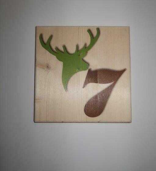 Четырехместный Номер Стандарт, Surselva