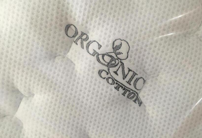 디럭스 룸, The Inn On College