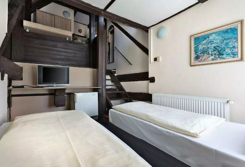 اتاق استاندارد, Penzion Hotel Morrison