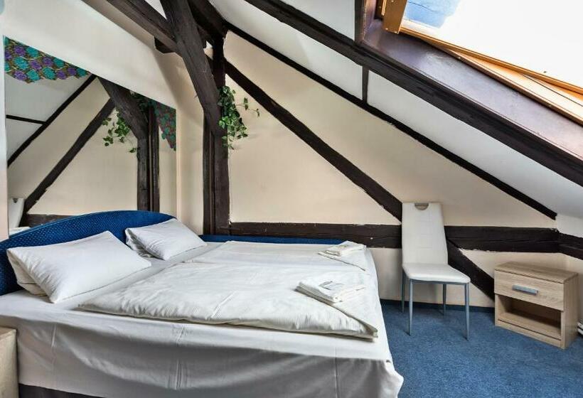 اتاق استاندارد, Penzion Hotel Morrison