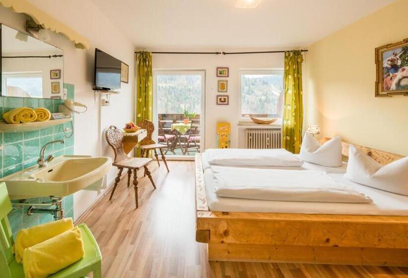 اتاق استاندارد با سرویس بهداشتی مشترک, Zur Schönen Aussicht Hotel Garni