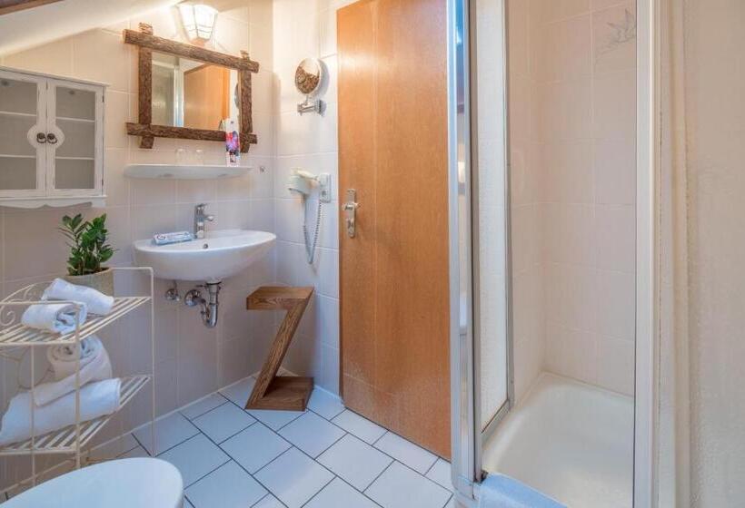 Basic-huone, Zur Schönen Aussicht Hotel Garni