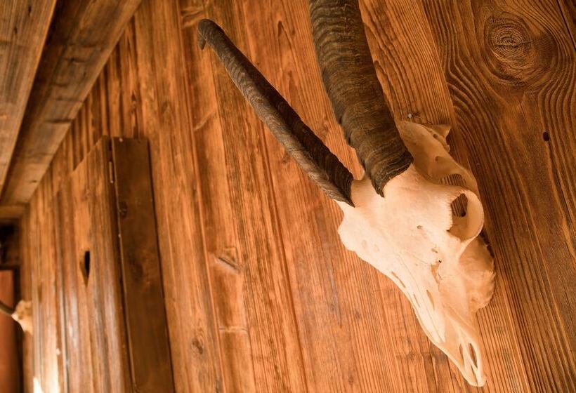 Standard Yhden Hengen Huone Jaettu Kylpyhuone, Zur Schönen Aussicht Hotel Garni