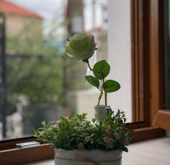 استودیوی لوکس, Studio Apartment In Old Town With Parking