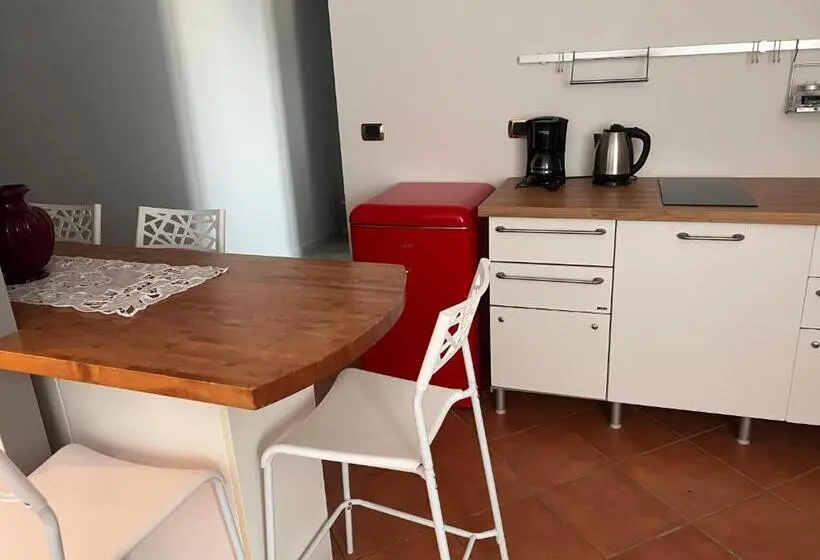 استودیوی استاندارد, Casa Canarino