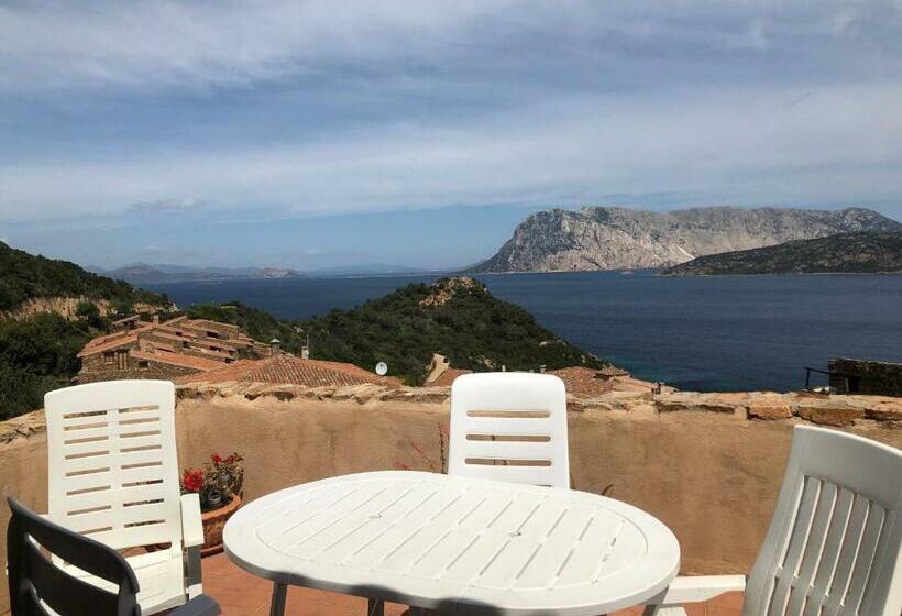 Апартаменты 2 Спальни Вид на Море, Villaggio Est A Capo Coda Cavallo San Teodoro
