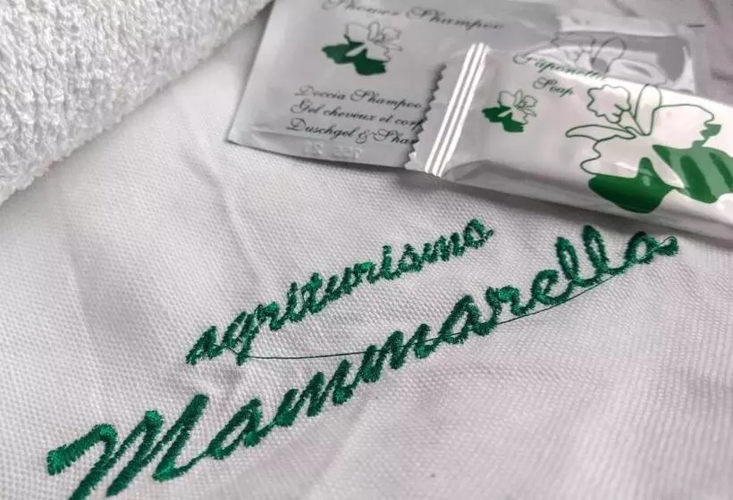 Standard Neljän Hengen Huone, Agriturismo Mammarella