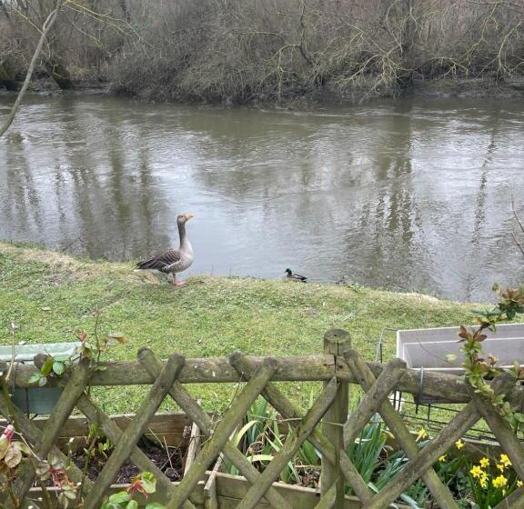 Номер Стандарт, Le Clos Robinson