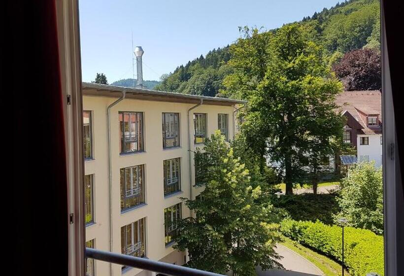 Номер Economy Индивидуальный, Nashira Kurpark Hotel 100 Prozent Barrierefrei